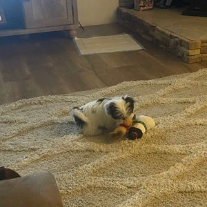 Meet your Posher, Christopher